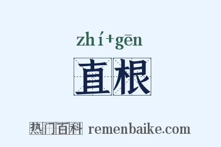 直根是什么意思的图片